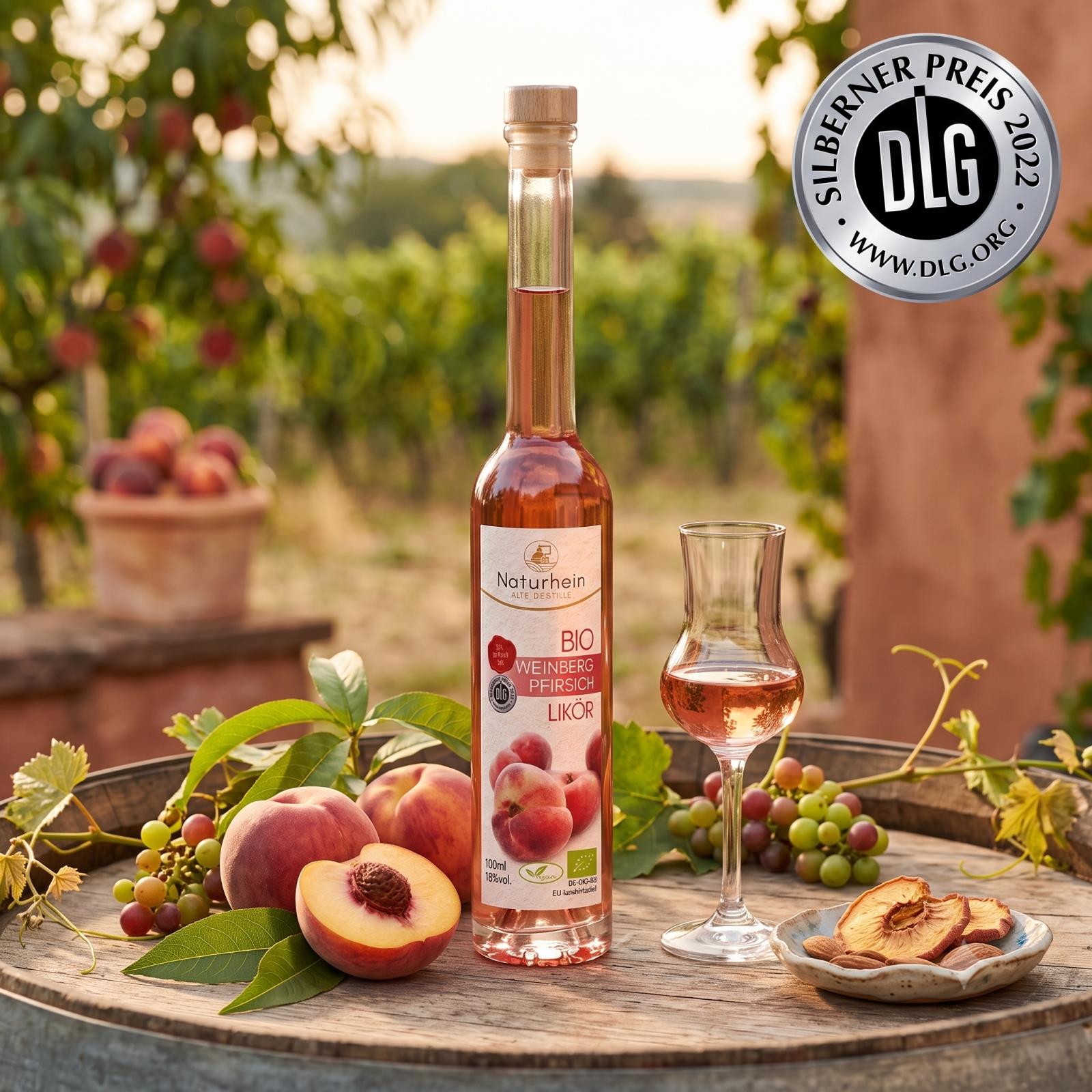 Likör Probierset 12 x 100 ml – 11 Sorten in Bio, Tasting Set vegan Geschenk